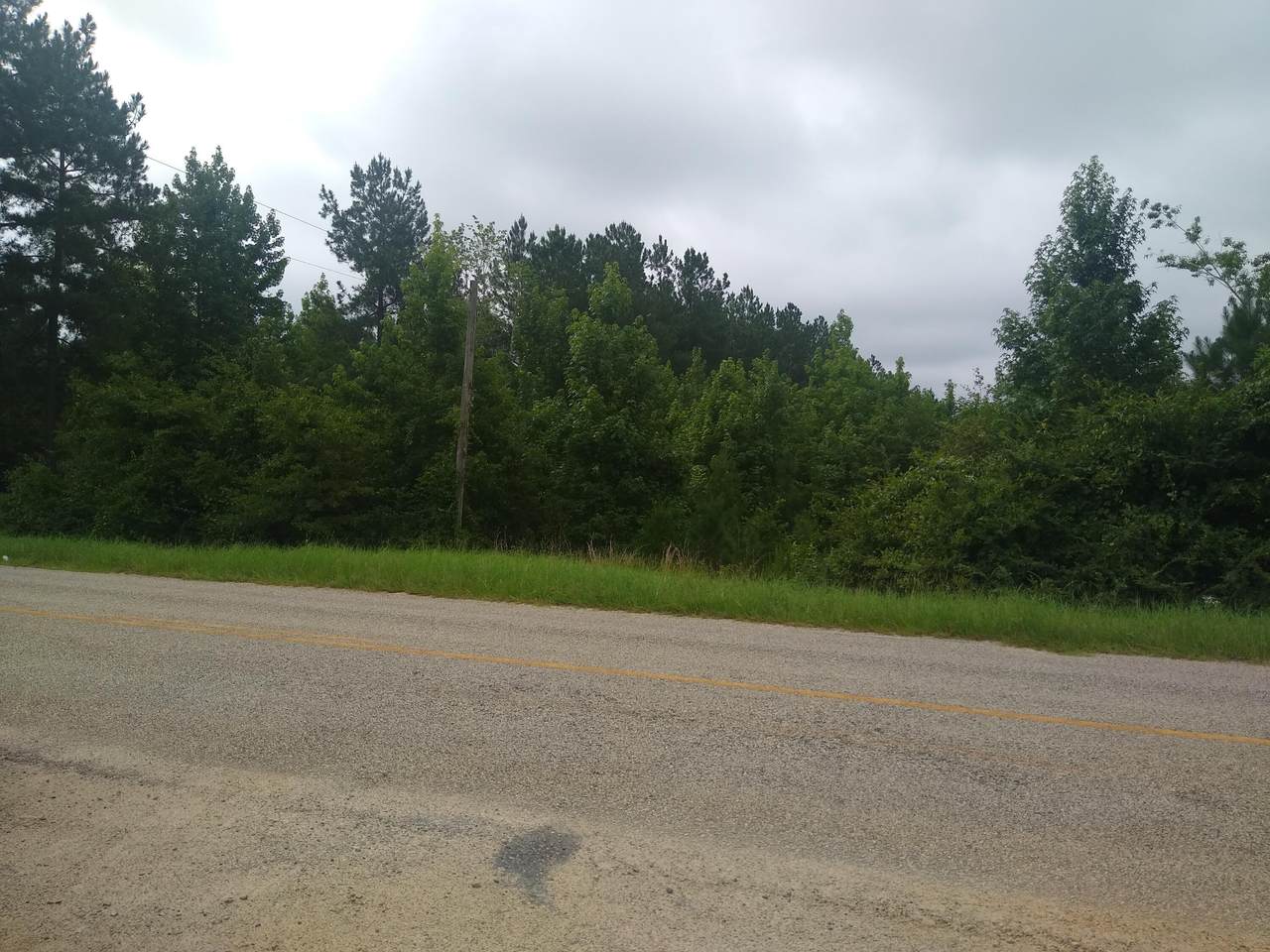 TRACT 3 Mark Walden Road - Photo 1