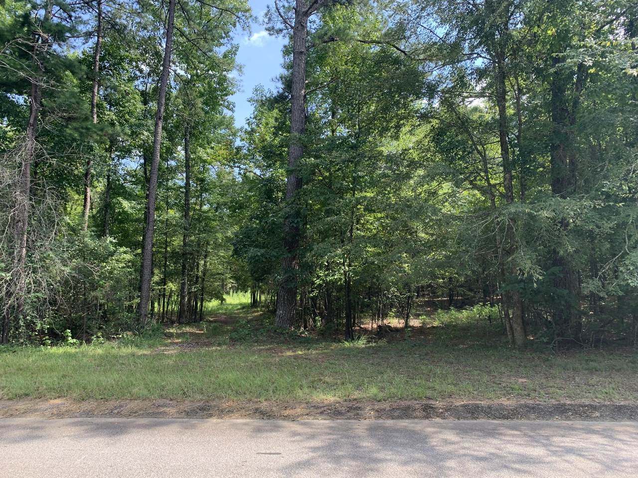1403 Tanyard Creek Drive - Photo 1