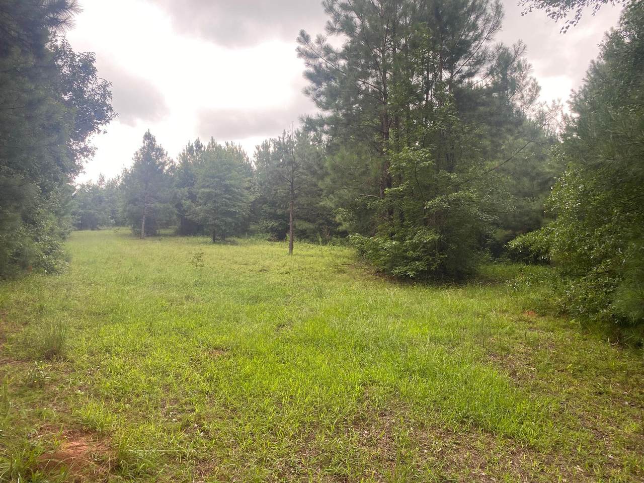 LOT 5 Dozier Road - Photo 1