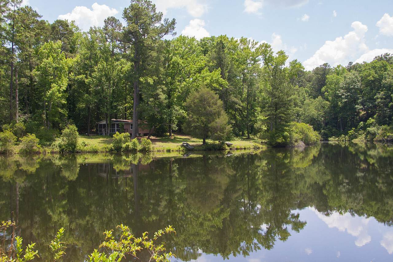 1635 Hephzibah Mcbean Road - Photo 1