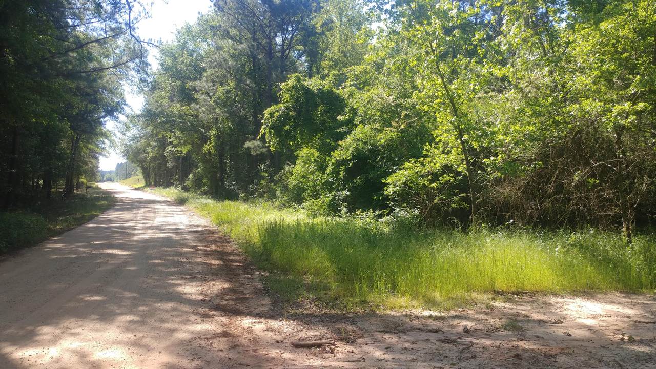 3371 Keysville-Boggs Academy Road - Photo 1