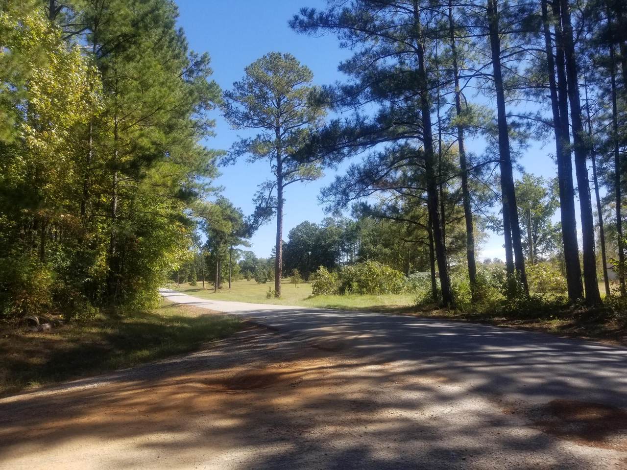 4421 Lbk Road - Photo 1