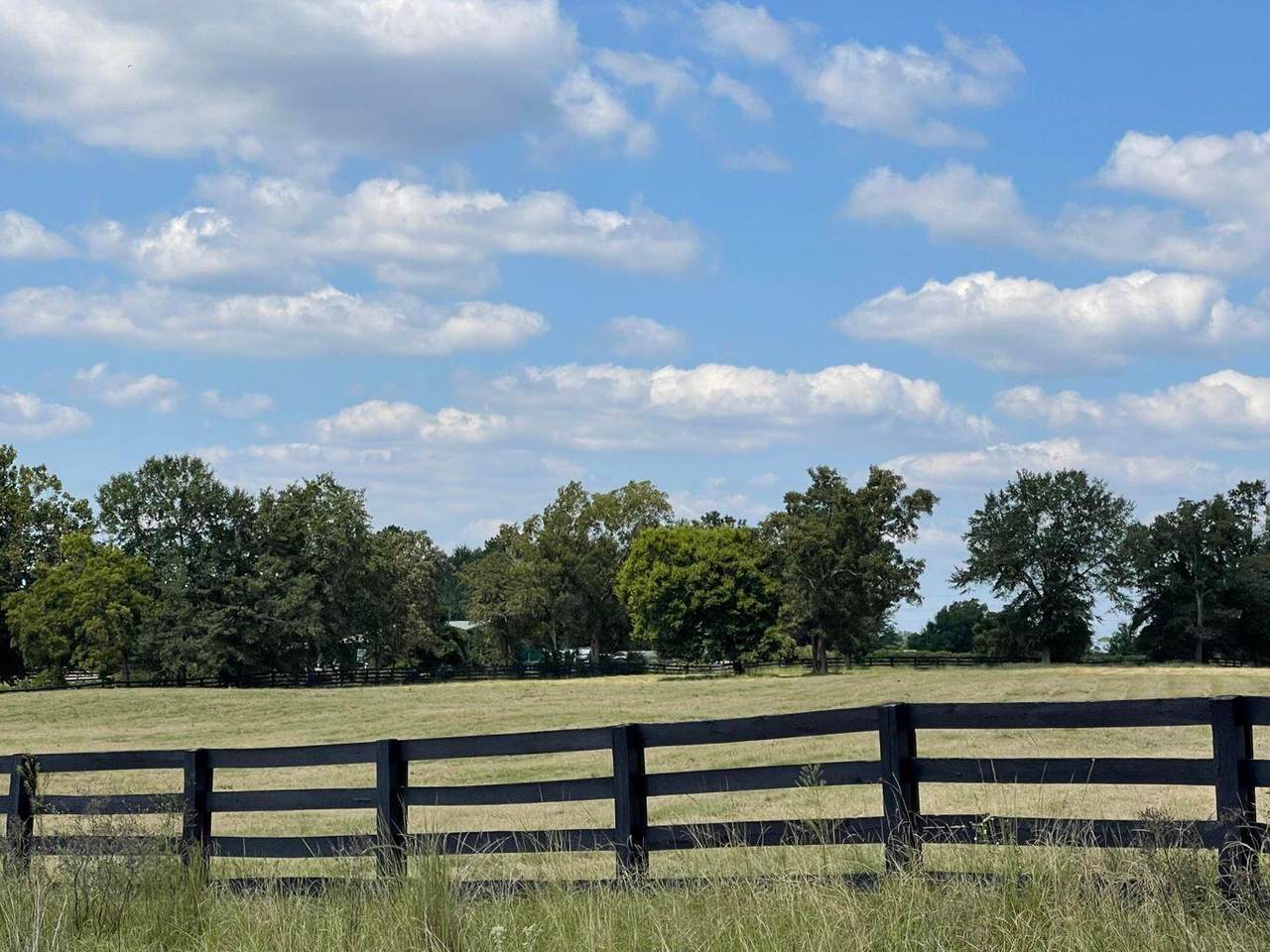 000 Farmfield Road - Photo 1