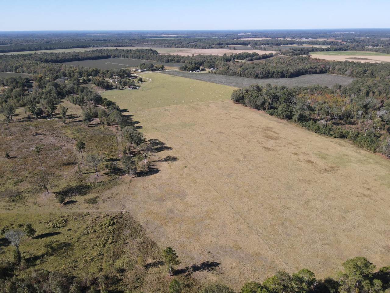 1031 Scott Store Road - Photo 1