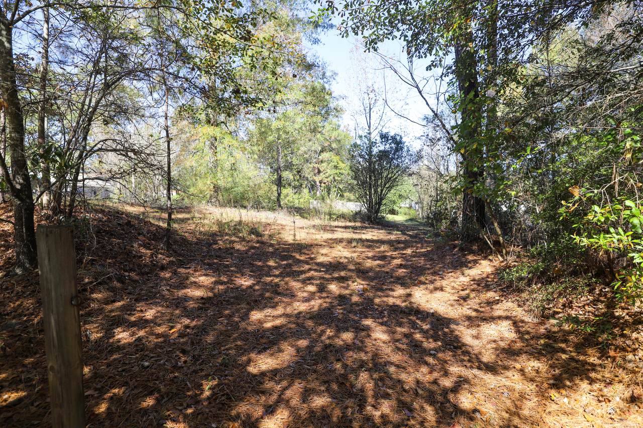 2409 Willis Foreman Road - Photo 1