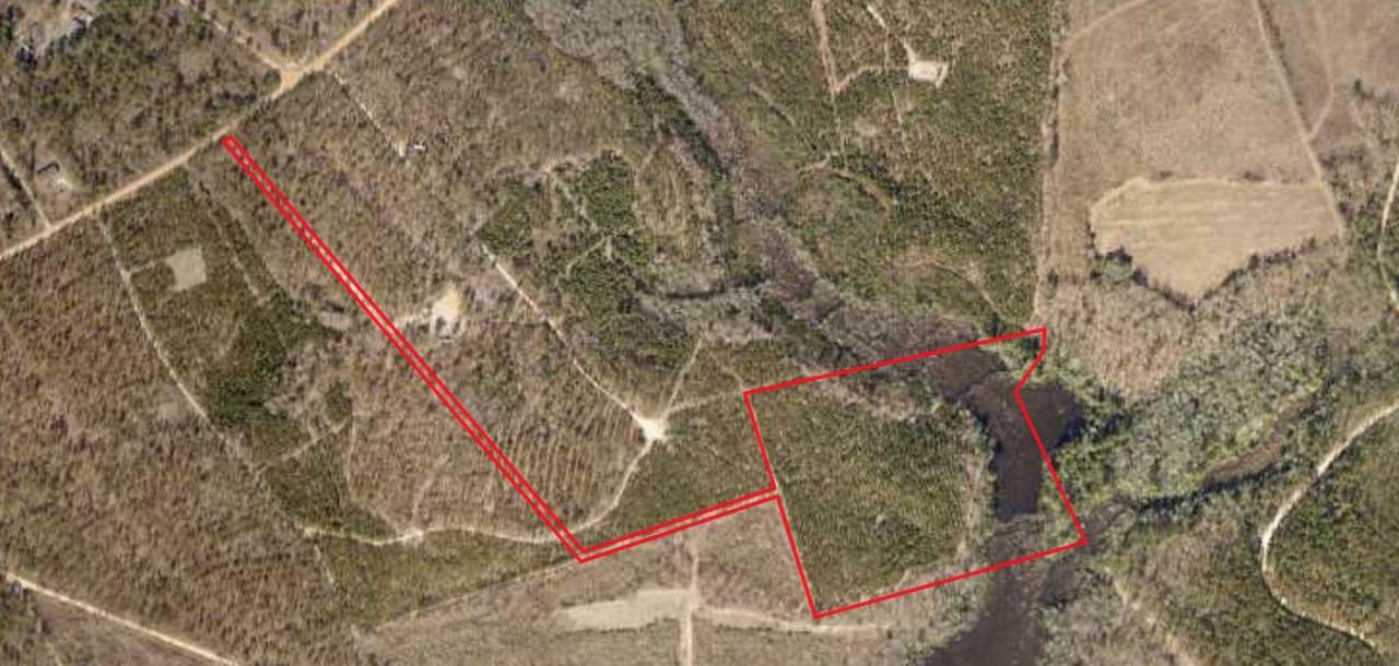0 Hutto Pond Road - Photo 1