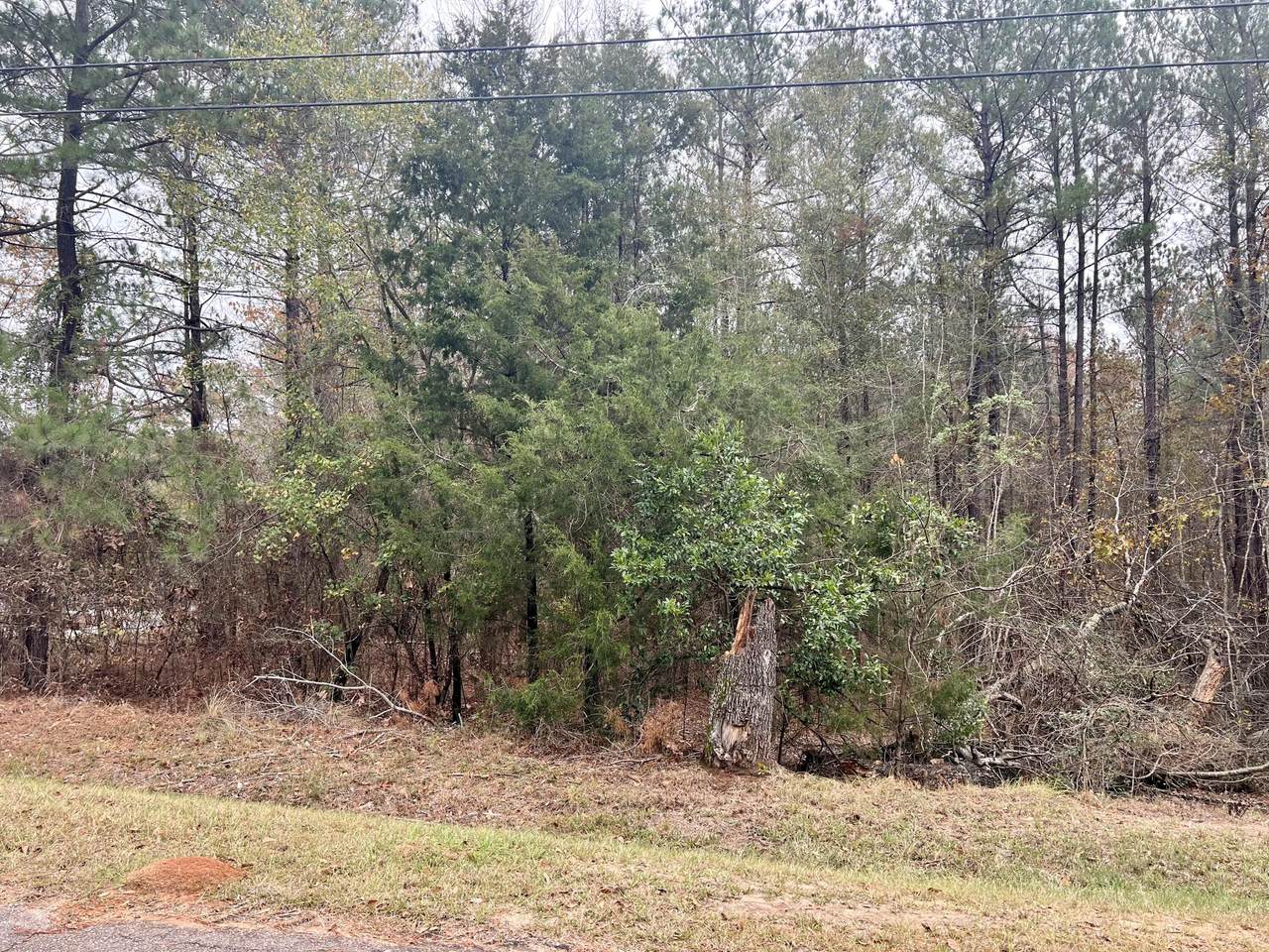 1274 Nugget Drive Drive - Photo 1