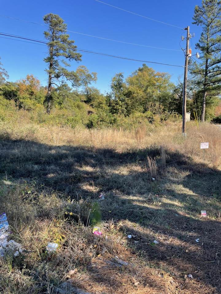 517 Edgefield Road - Photo 1