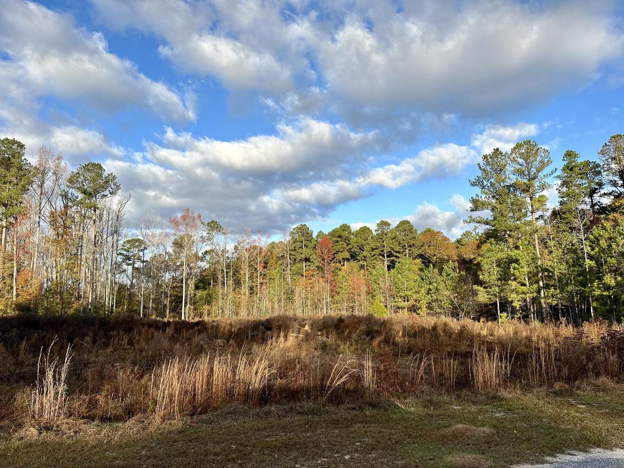 103 Bayberry Court - Photo 1