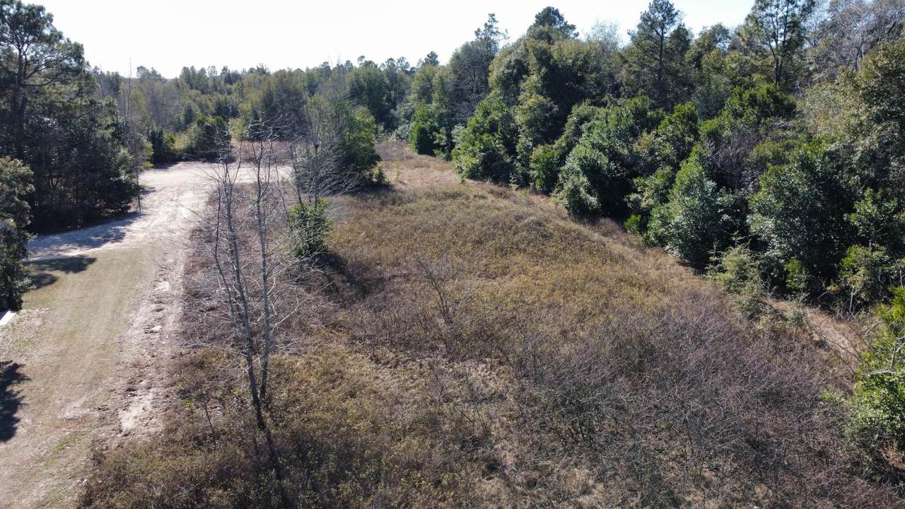 1412 Hephzibah Mcbean Road - Photo 1