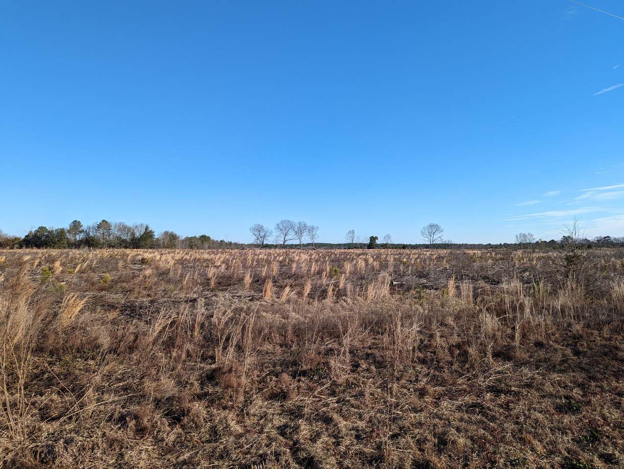 0 Hollow Creek Road, Salley, SC 29137 (MLS 524249) Shannon Rollings