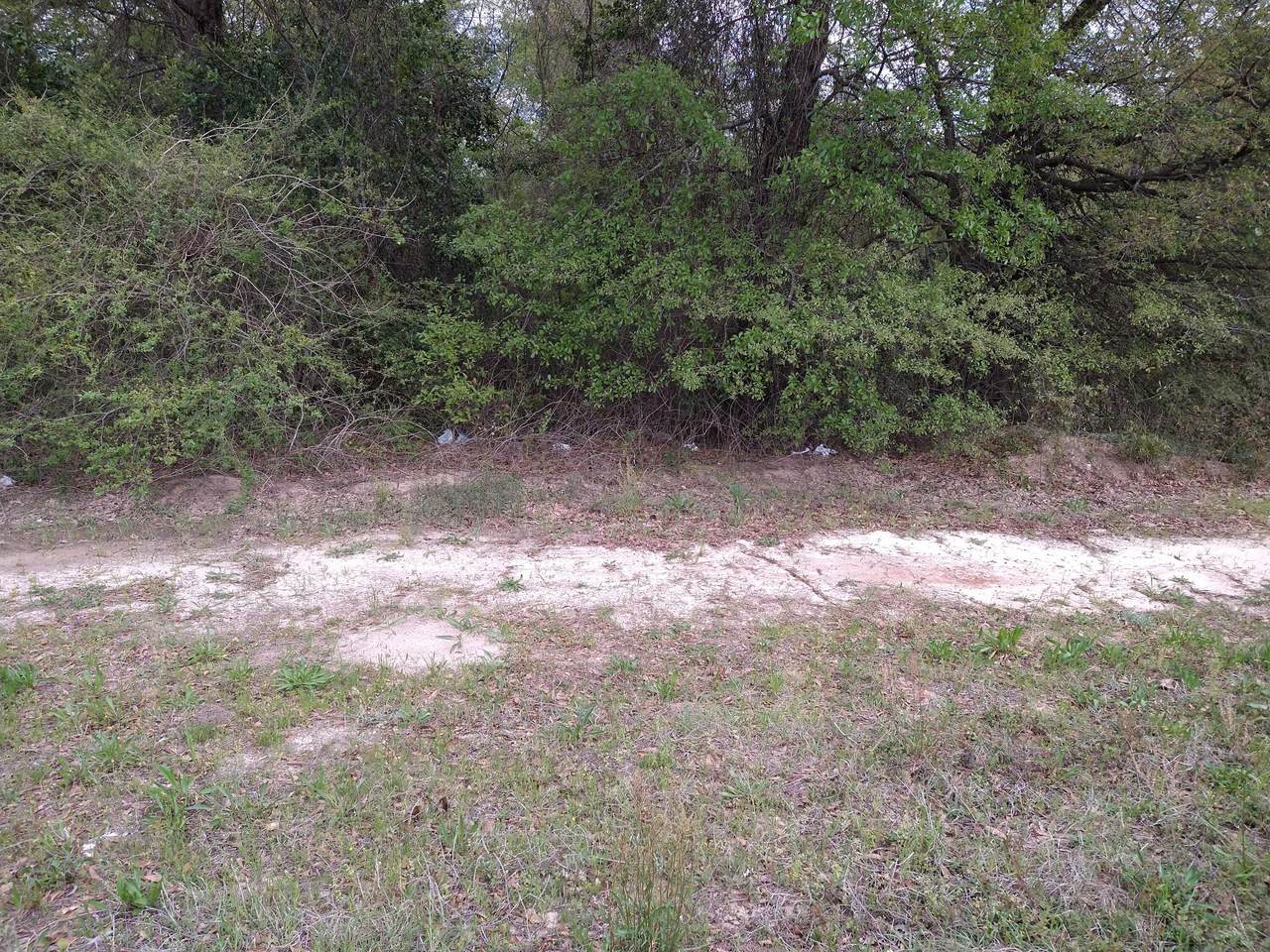 4654/4656 Mike Padgett Highway - Photo 1