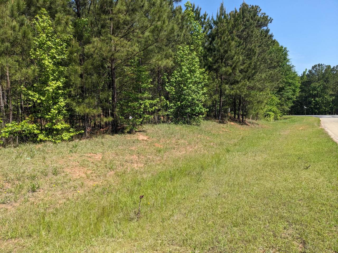 Lot 51 Willow Way - Photo 1