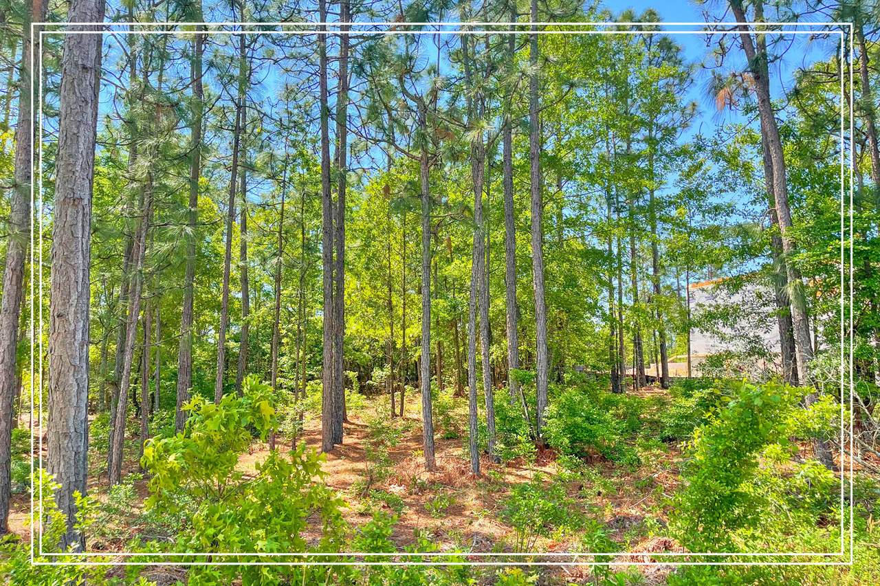 LOT 612 Bristlecone Drive - Photo 1