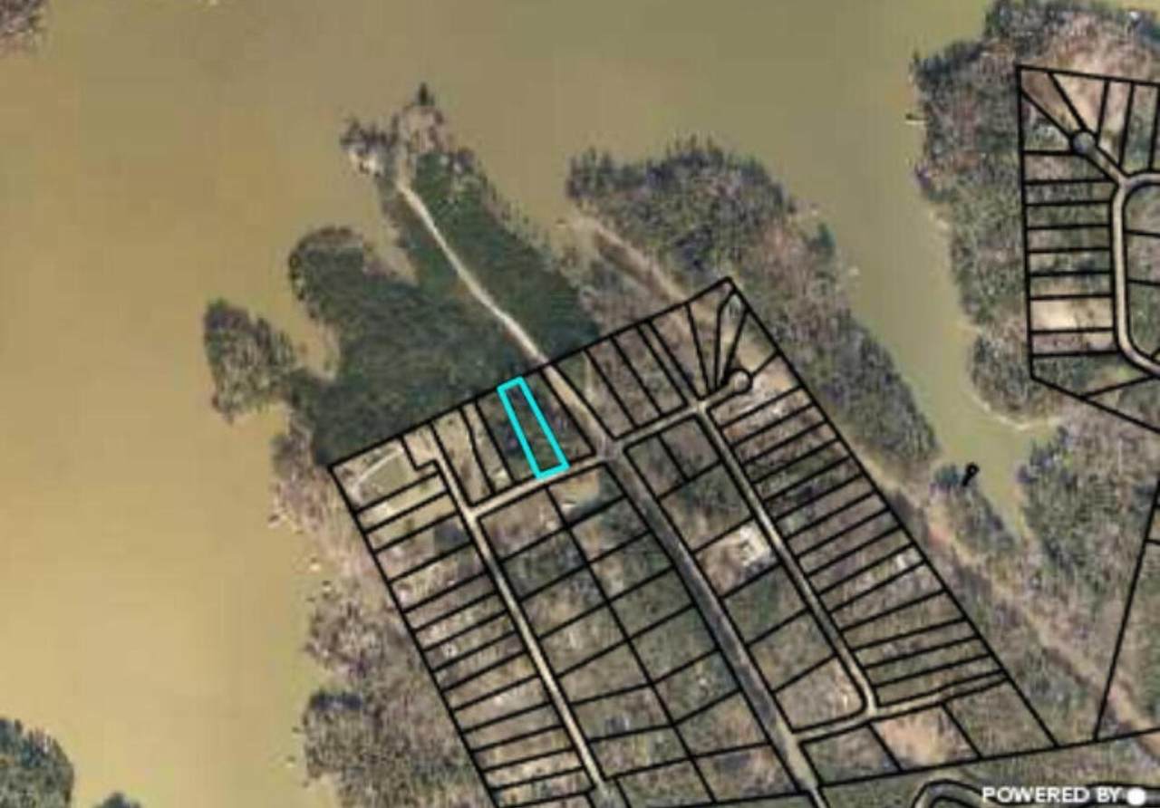 0 Doe Drive - Photo 1