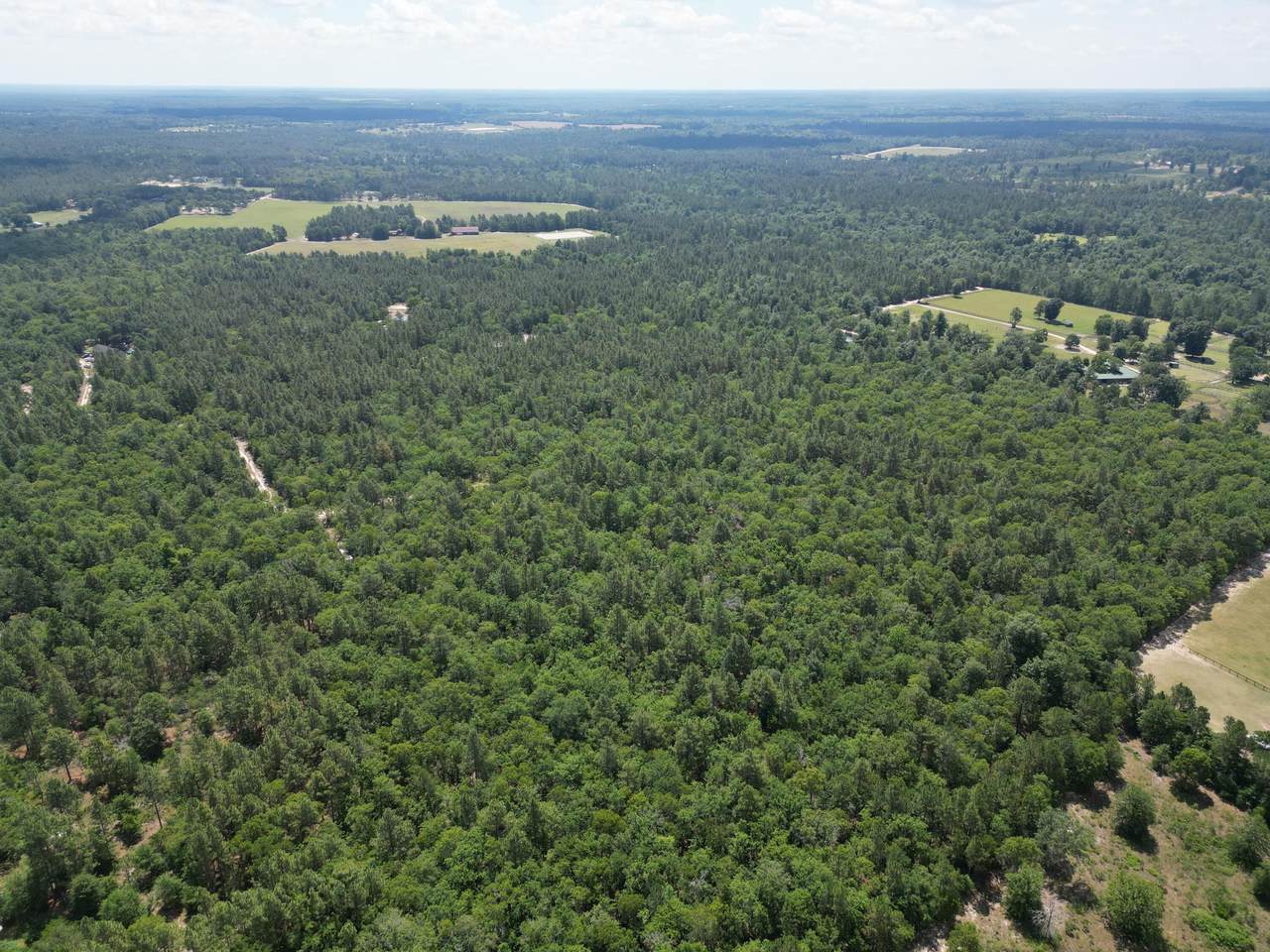 00 Live Oak Drive - Photo 1