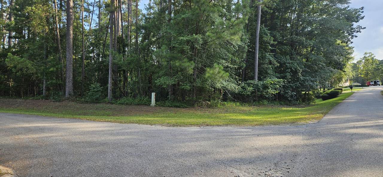 Bl 6 Lot 9 Davis Drive - Photo 1