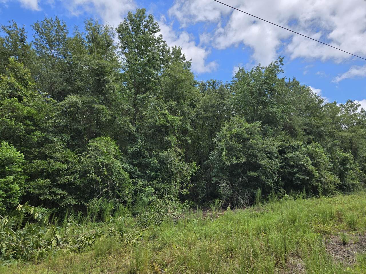 84 Bay Street - Photo 1
