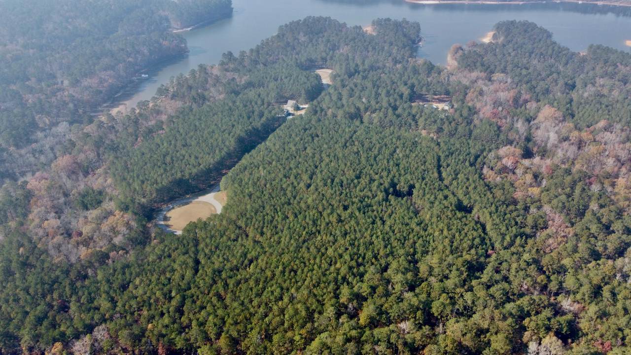 1272 Sunset Cove - Photo 1