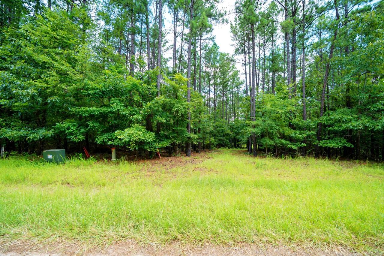 Lot 36 Savannah Ridge Road - Photo 1