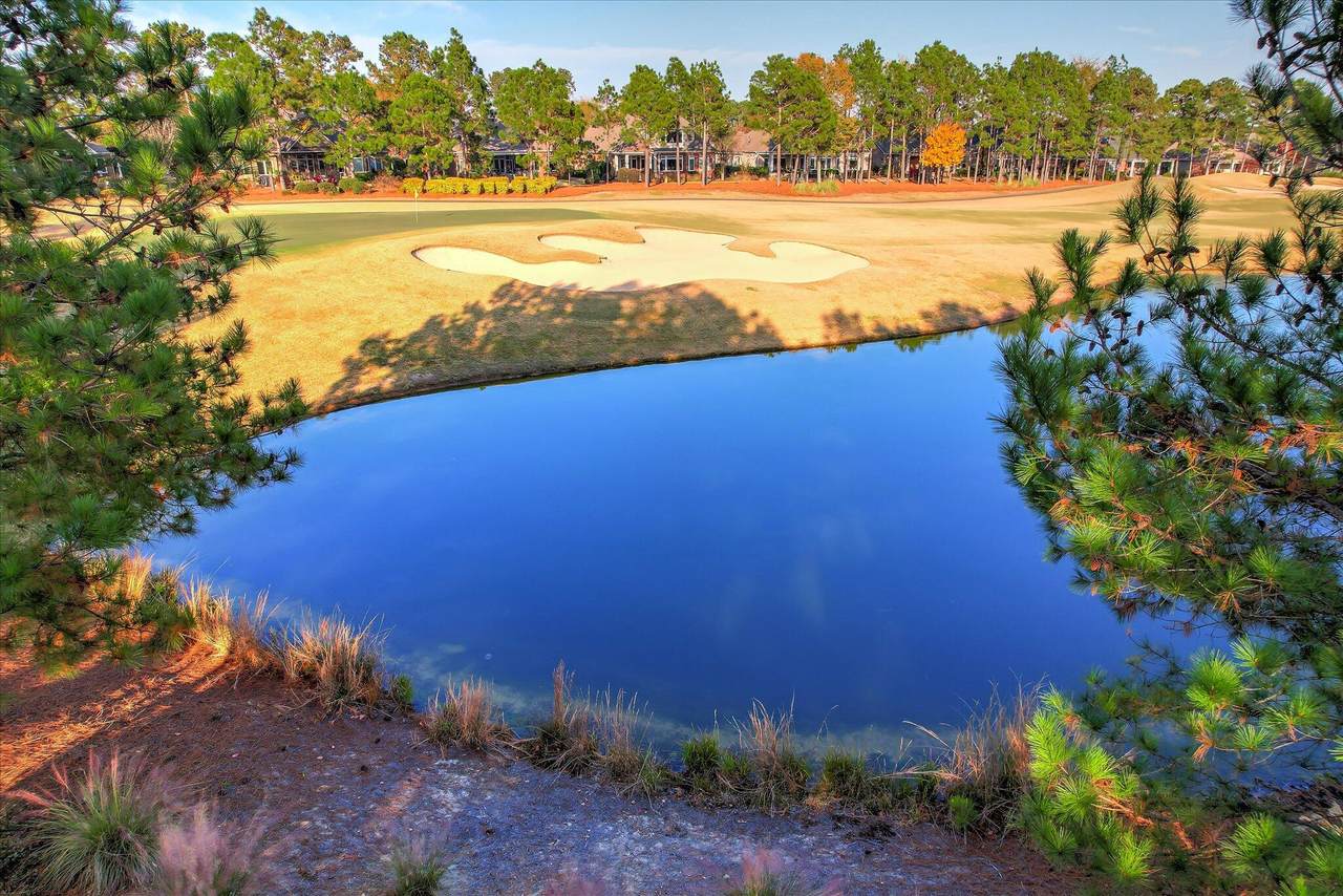 134 Commonwealth Way - Photo 1