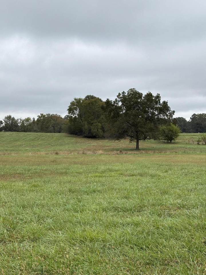 000 Meadow Lane - Photo 1