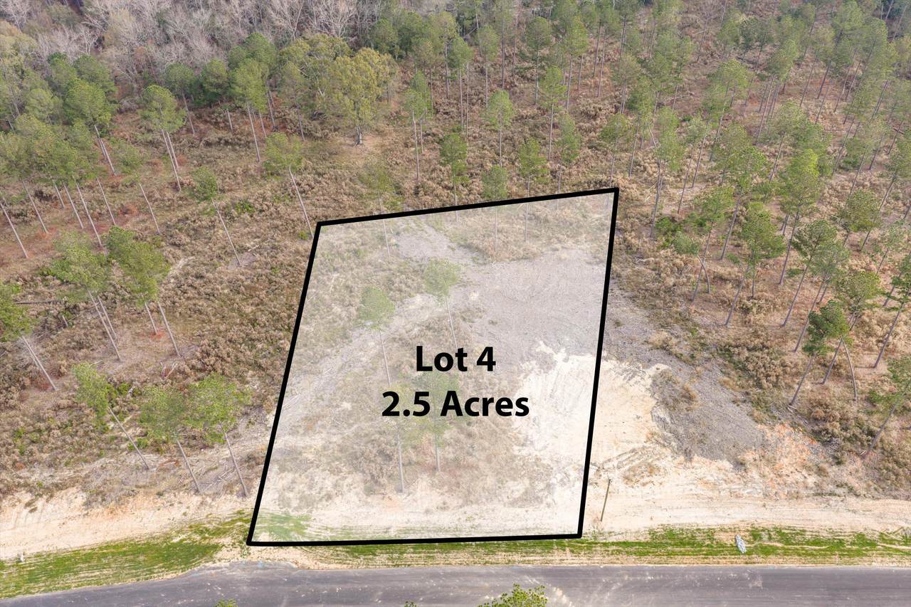 135 Beagle Chase Drive - Photo 1