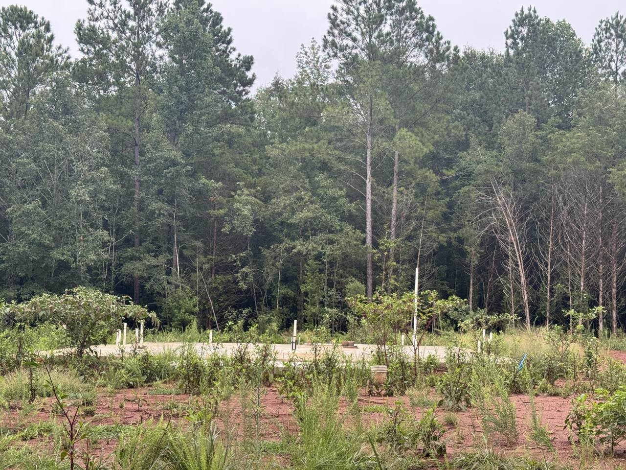 000 Seven Oaks Drive - Photo 1