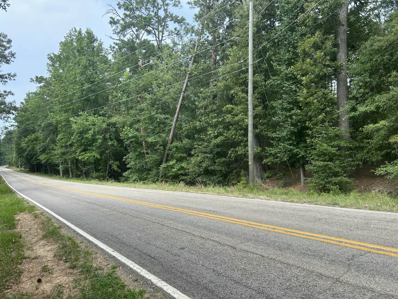 111 Martintown Road - Photo 1