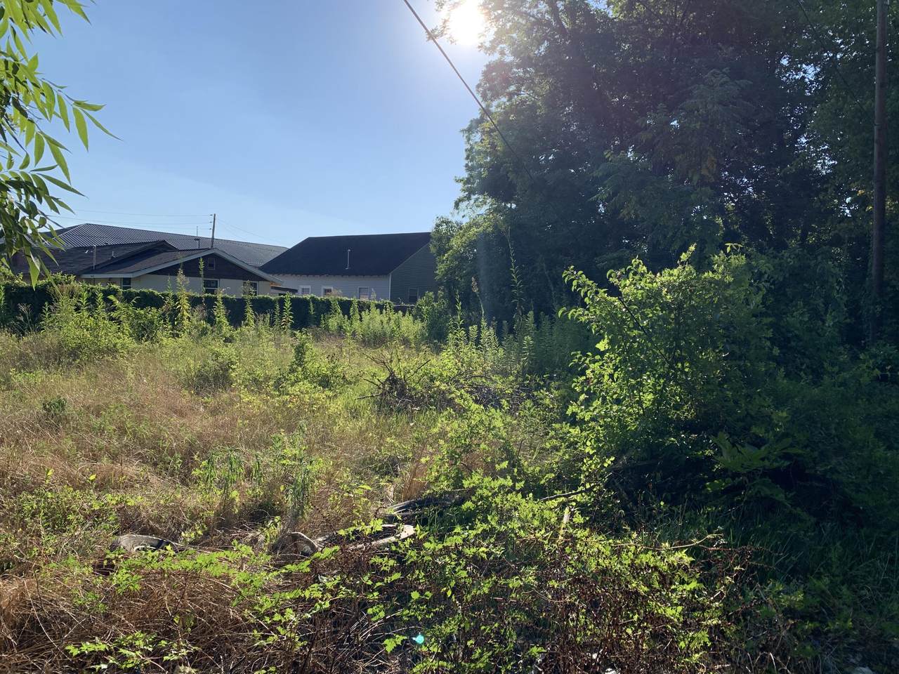 1851 Wilhelm Lane - Photo 1