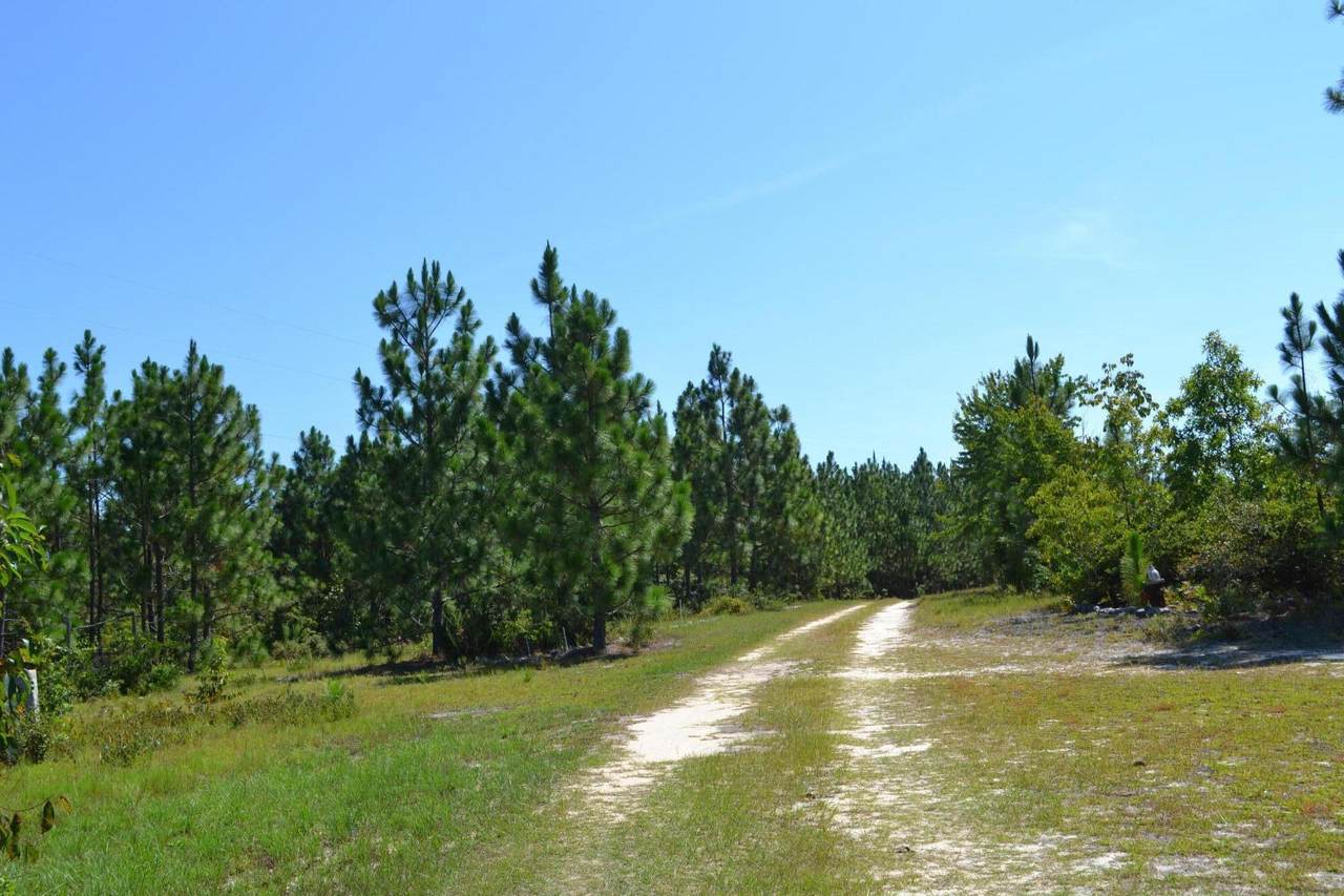 5308 Enigma Drive - Photo 1