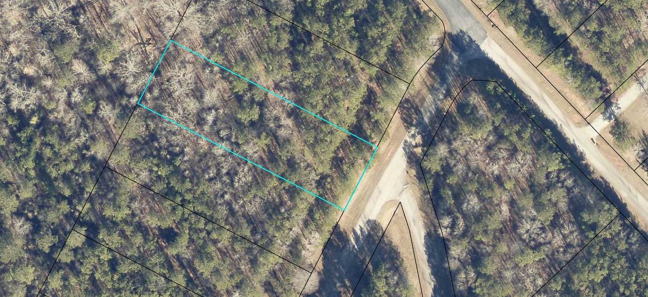 Lot 51 Willow Way - Photo 1