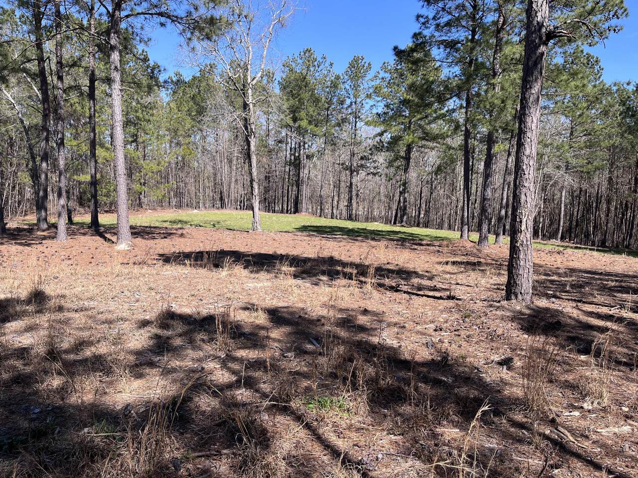 2296 Williams Road Road - Photo 1