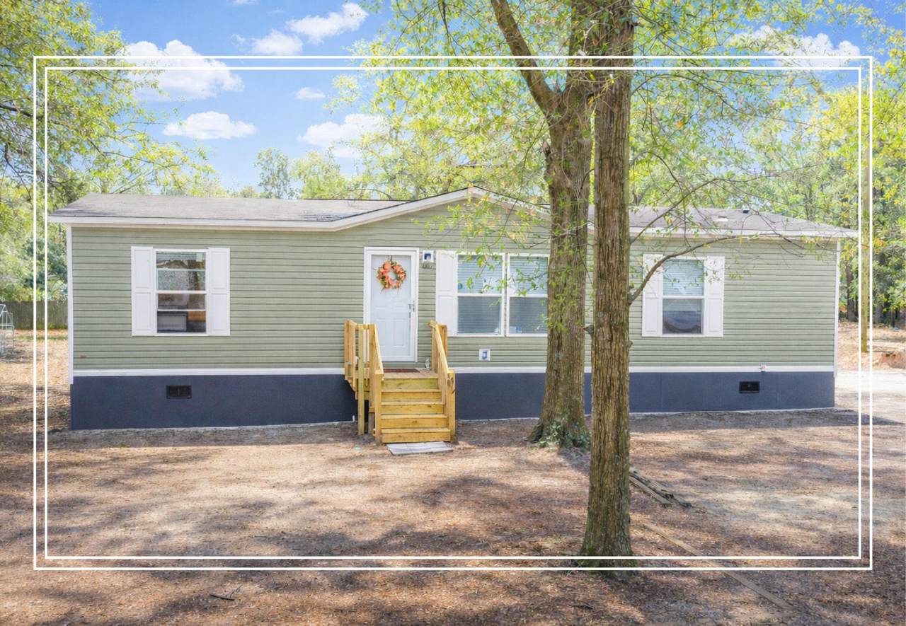 1020 Hephzibah Mcbean Road - Photo 1
