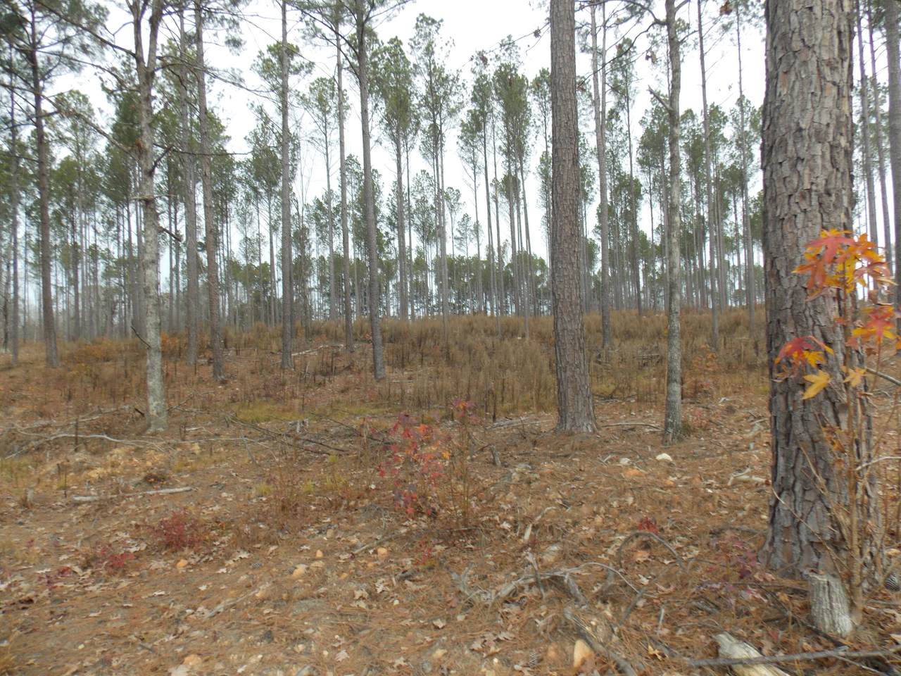 4 Mosley Rd - Photo 1