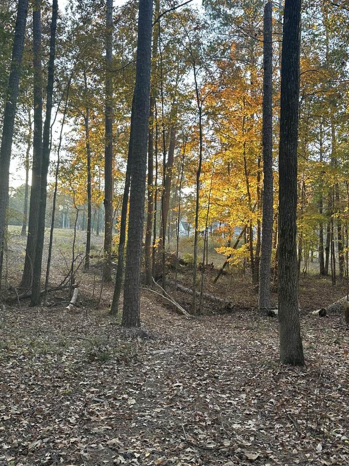 9-3 Long Cove - Photo 1