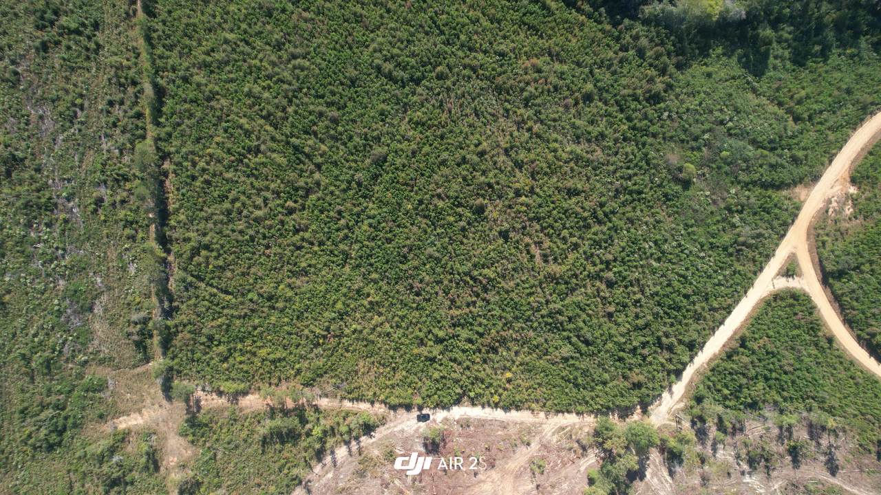 00 Moores Drive - Photo 1