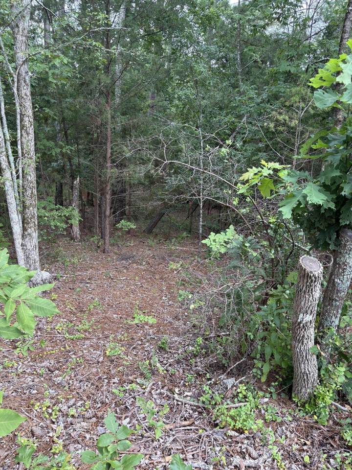 Lot 15 Overlook Point - Photo 1