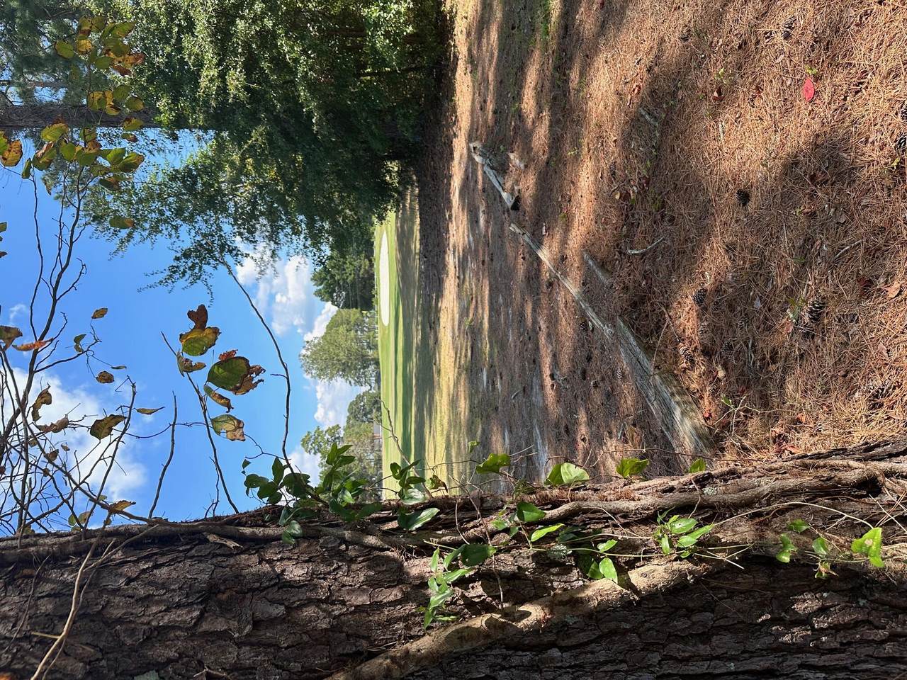 293 South Lake Drive - Photo 1