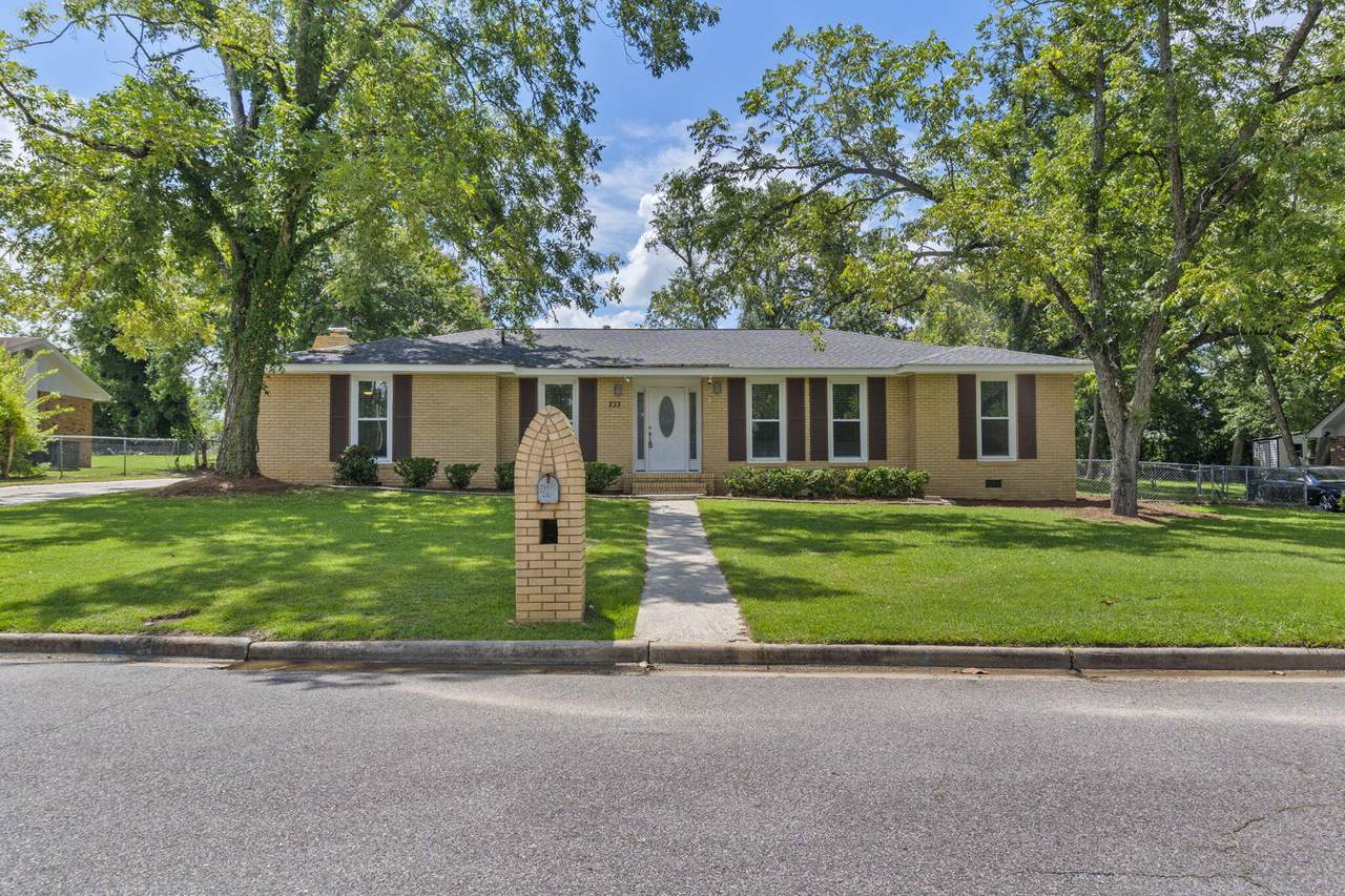 233 Anneswood Road - Photo 1