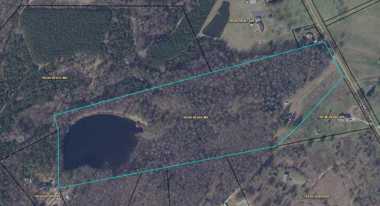 260 Holmes Pond Road - Photo 1