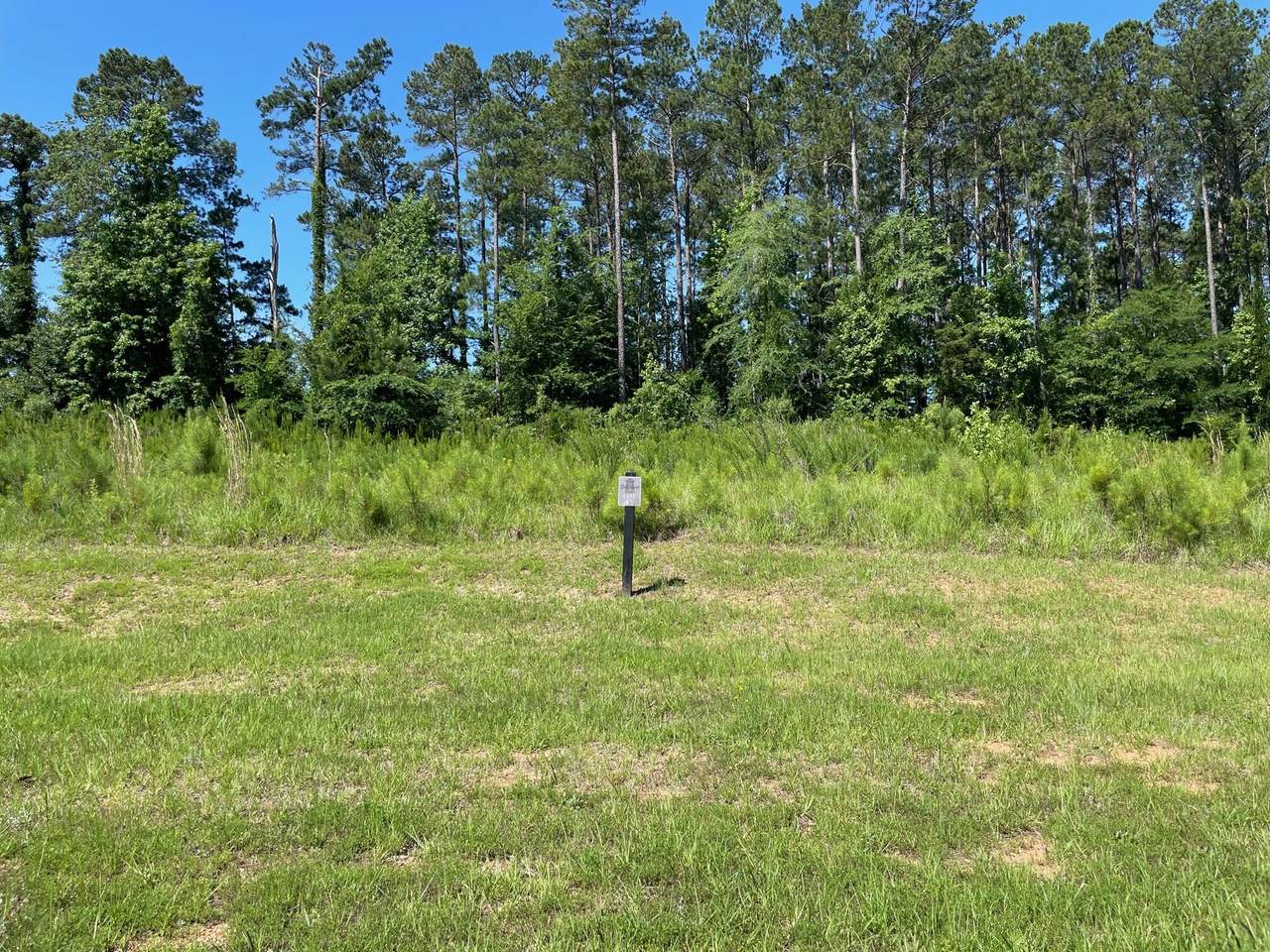 726 Campana Drive - Photo 1