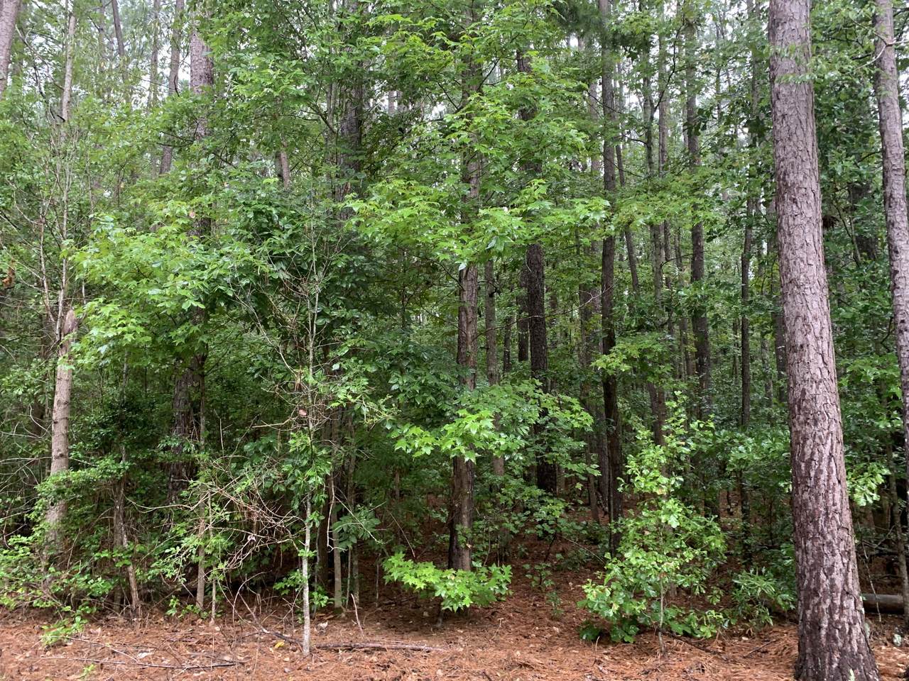 LOT 20 B Shady Oaks Rd - Photo 1