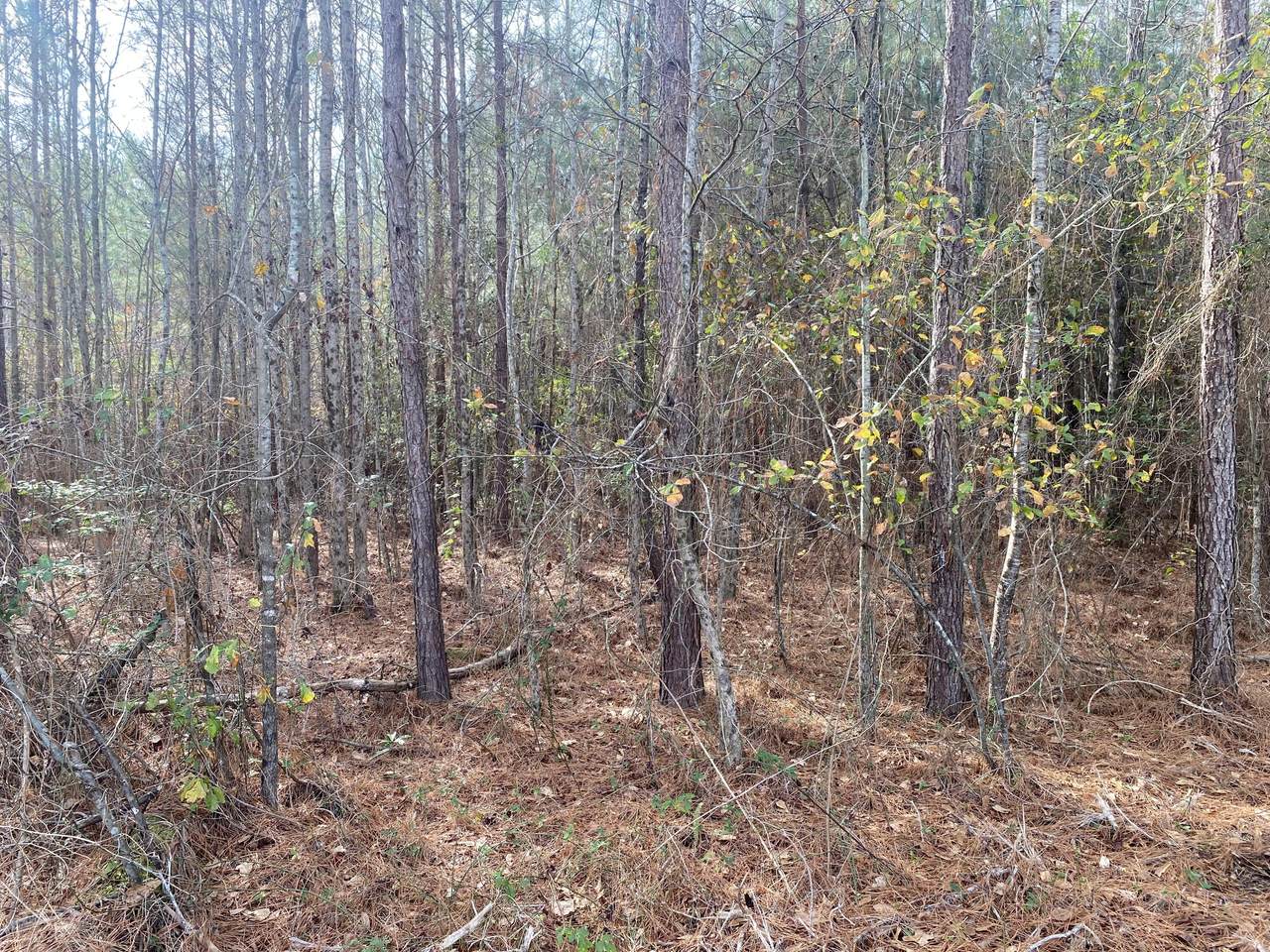 0 Adams-Reeves Road - Photo 1
