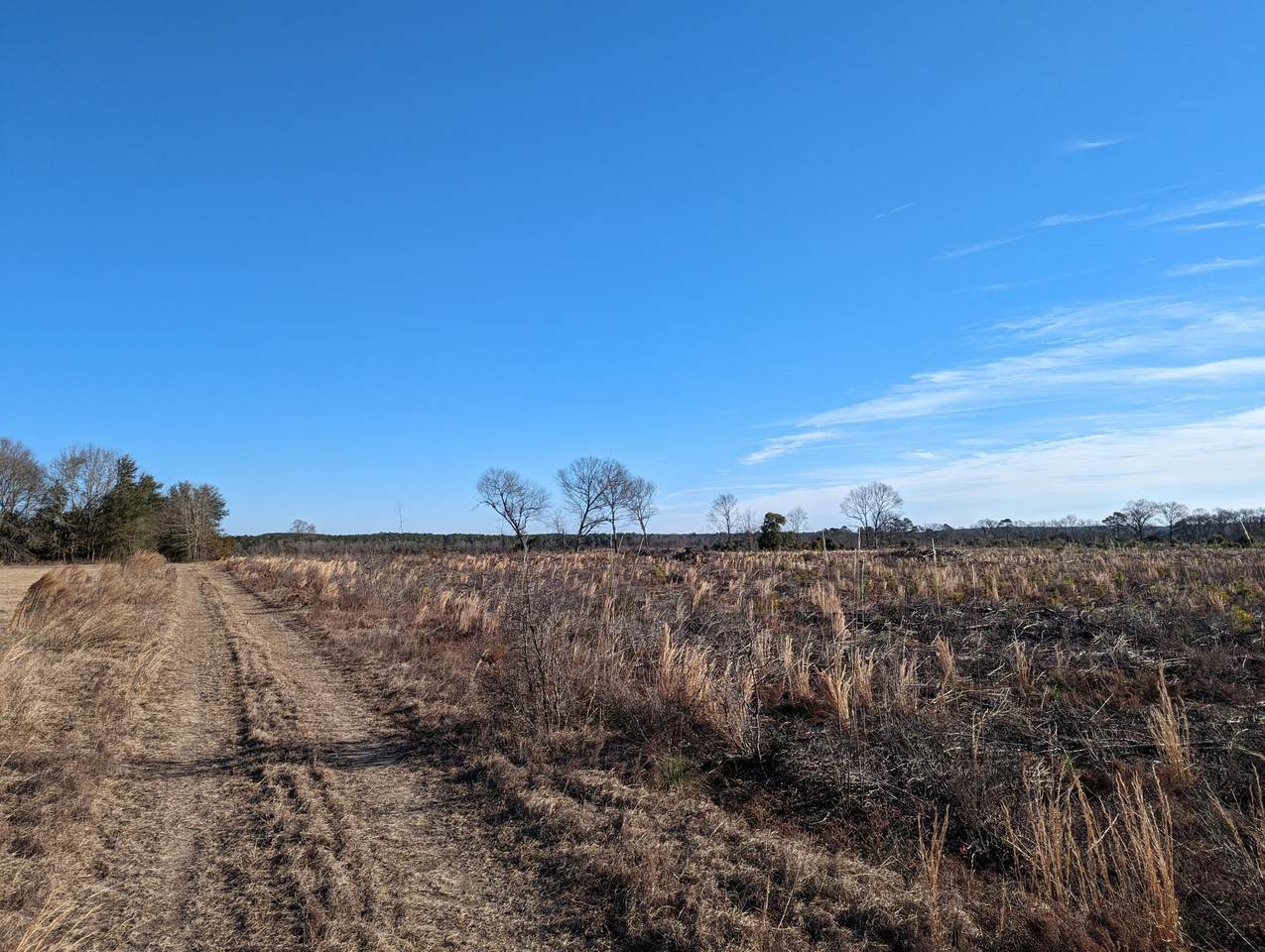 0 Hollow Creek Road, Salley, SC 29137 (MLS 524249) Shannon Rollings