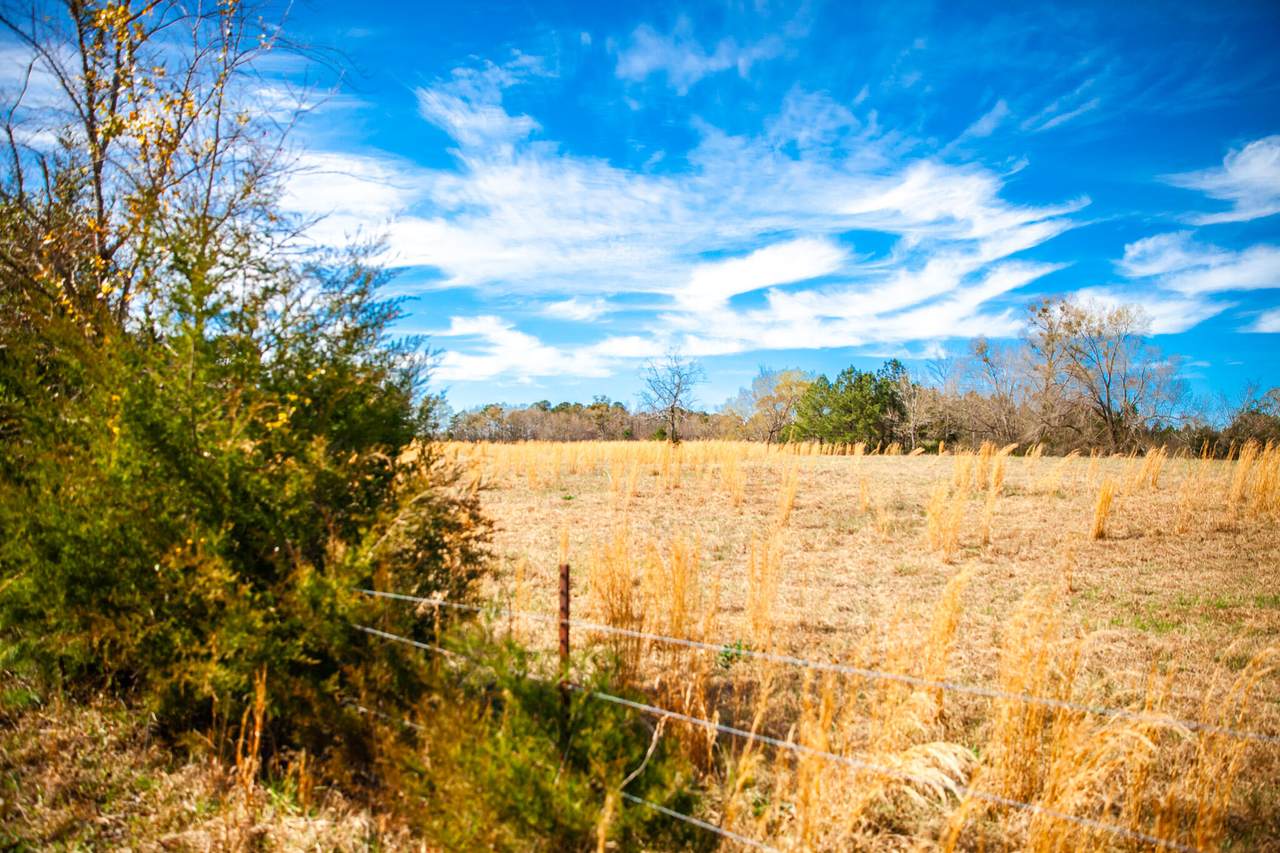 LOT 9 Mistletoe Rd - Photo 1