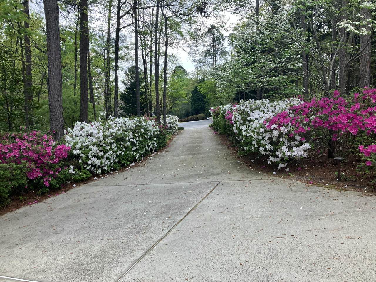 5068 Belle Mead Drive - Photo 1