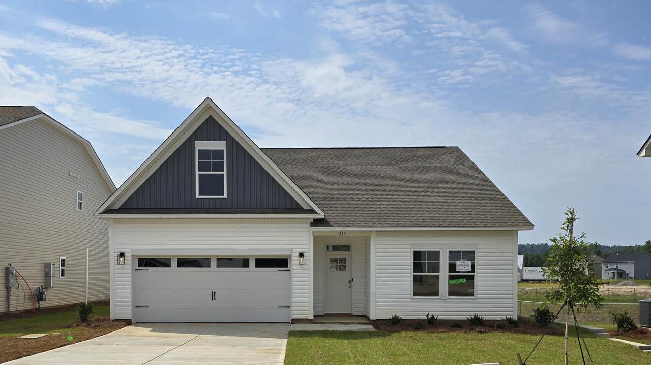 244 Red Haven Court - Photo 1
