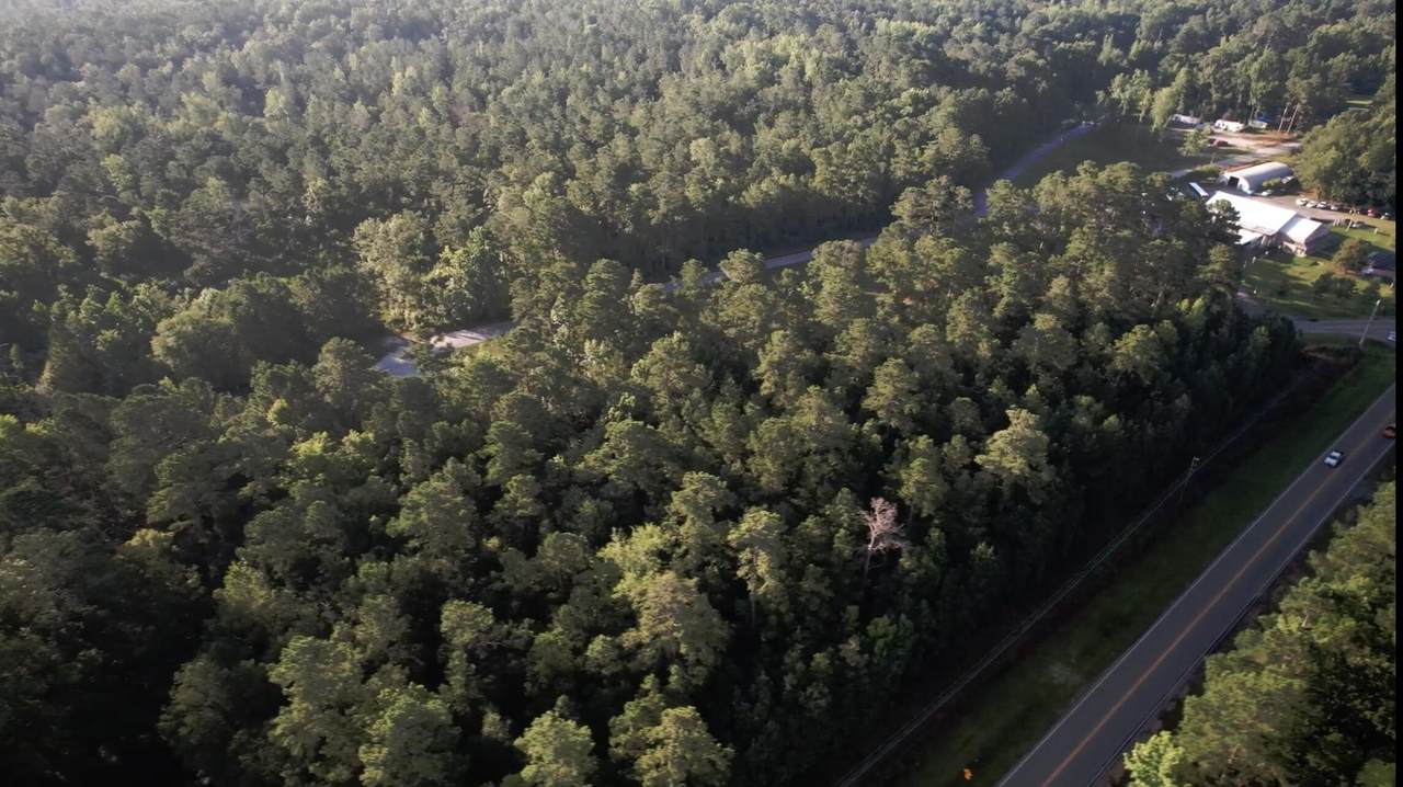 985 Appling Harlem Road - Photo 1