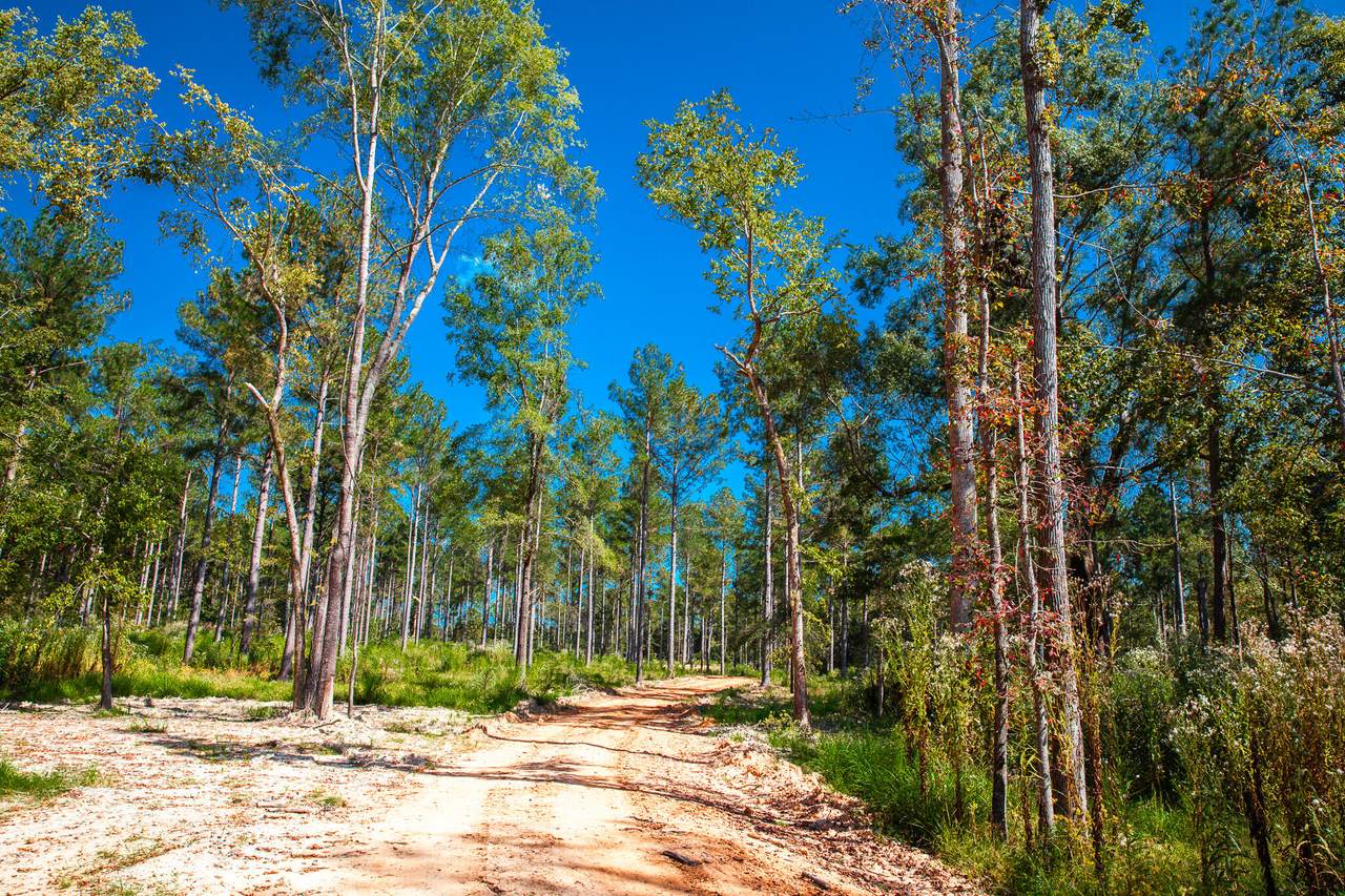 575 Rabbit Pen Drive - Photo 1